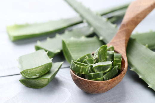 maske aloe vera Aloe Vera Feuchtigkeitsmaske