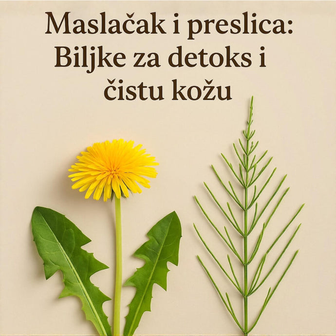 Maslačak i preslica: Biljke za detoks i čistu kožu
