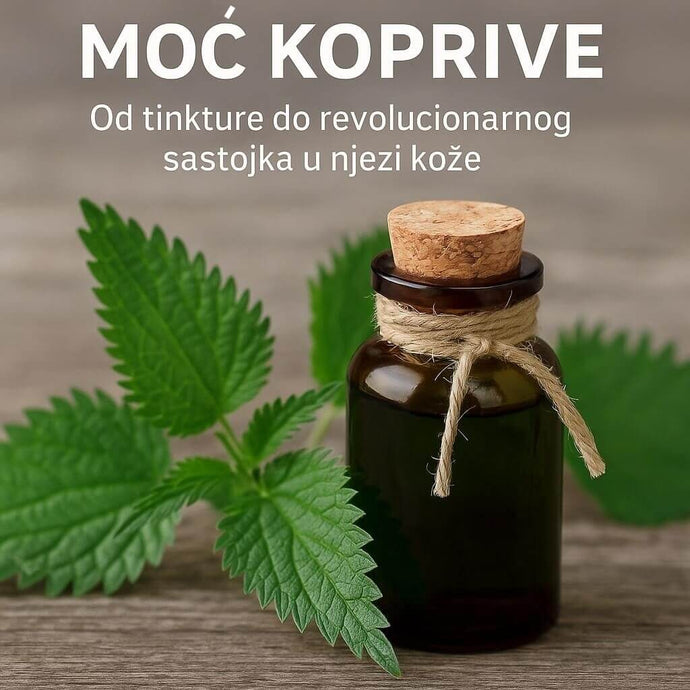 Moć koprive: Od tinkture do revolucionarnog sastojka u njezi kože