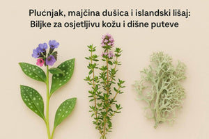 Plucnjak, majcina dusica i islandski lisaj - Biljke za osjetljivu kozu i disne puteve