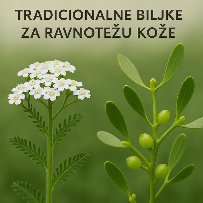 Stolisnik i imela: Tradicionalne biljke za ravnotežu kože